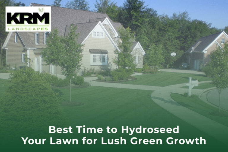 Best Time to Hydroseed Your Lawn for Lush Green Growth - KRM