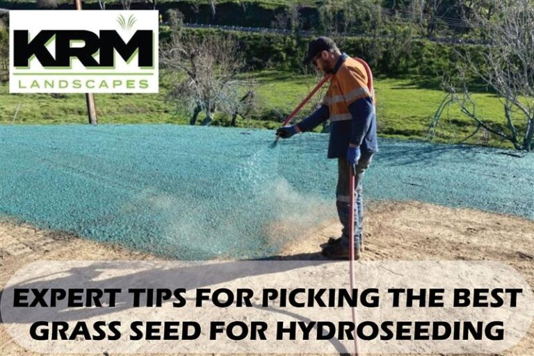 Expert Tips for Picking the Best Grass Seed for Hydroseeding - KRM ...